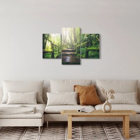 Obraz - drevené schody v lese (90x60 cm)
