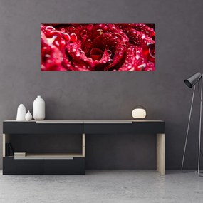 Obraz kvetu červenej ruže (120x50 cm)