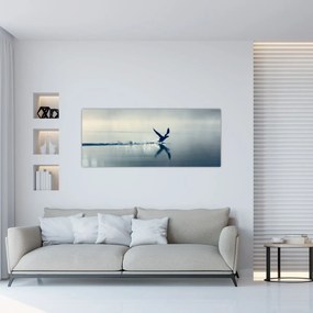Obraz - Potáplica (120x50 cm)