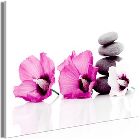 Artgeist Obraz - Calm Mallow (1 Part) Wide Pink Veľkosť: 60x40, Verzia: Premium Print