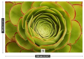 Fototapeta Vliesová Zelený kvet 152x104 cm