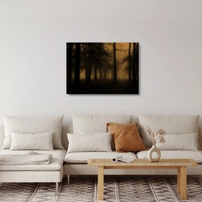 Sklenený obraz - Temný les (70x50 cm)