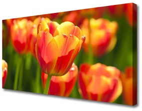 Obraz Canvas Tulipány kvety rastlina 120x60 cm