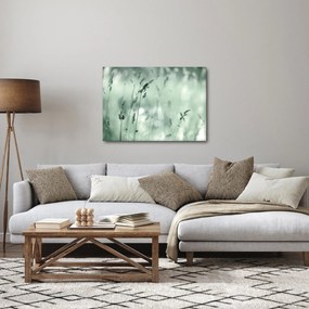 Obraz - Zelená lúka (70x50 cm)