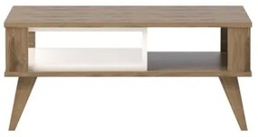 Konferenčný stolík IONIS 40x90 cm hnedá/biela