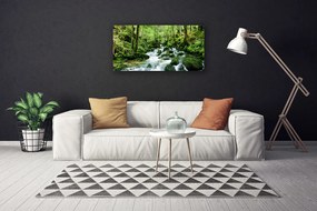 Obraz Canvas Les potok vodopády rieka 120x60 cm