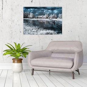 Obraz - Zamrznutá krajina (70x50 cm)