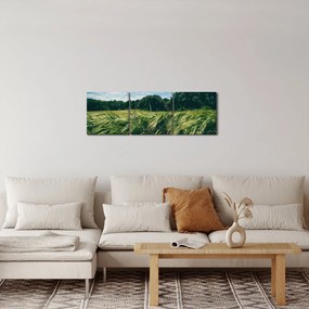 Obraz lúky a lesa (s hodinami) (90x30 cm)