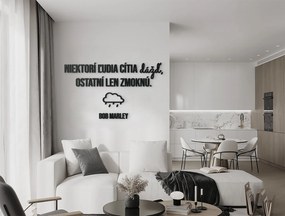 drevko Drevený citát Niektorí ľudia cítia dážď Rozmer obrazu: 49 x 85,5 cm, Farba dekorácie: Čierna