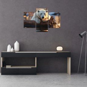 Obraz - Medveď ľadový (90x60 cm)
