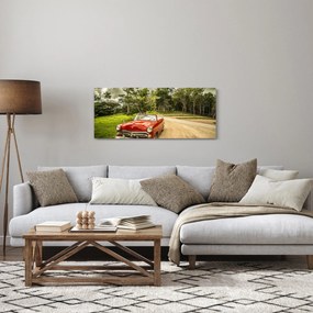 Obraz - auto veterán v prírode (120x50 cm)