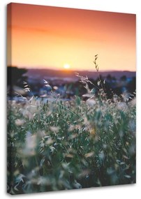 Obraz na plátně Západ slunce na louce - 80x120 cm