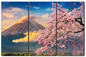 Obraz na plátne - Hora Fuji a čerešňové kvety na jar 1266B (120x80 cm)