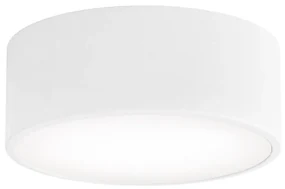 Brilagi - Stropné svietidlo CLARE 1xE27/24W/230V pr. 20 cm biela BG0817