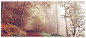 Obraz - Jesenná prechádzka lesom (120x50 cm)
