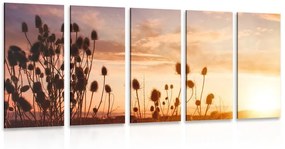 5-dielny obraz steblá trávy pri východe slnka - 100x50