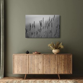 Obraz - Steblá trávy (90x60 cm)