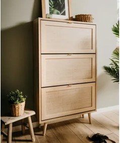 Botník s výklopnými dverami Bali, dub sonoma/výplet%