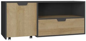 Meblar Detský TV stolík Nano NA10 (2 farby) Farba: Dub Riviera