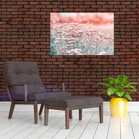 Obraz - Lúčne kvety (90x60 cm)