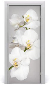 Fototapeta na dvere biela orchidea 75x205 cm