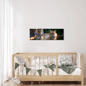 Obraz - Tigrii bratia (s hodinami) (90x30 cm)