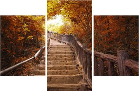 Obraz - Schody v prírode na jeseň (90x60 cm)
