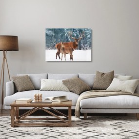 Sklenený obraz Jeleňa s laňou (70x50 cm)
