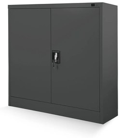 BEATA kovová šatníková skriňa s policami: antracit (976)