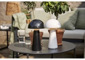 Čierna LED stolová lampa so stmievačom (výška 28 cm) Mushroom – Star Trading