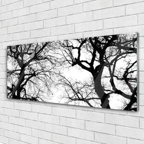Obraz plexi Stromy príroda čiernobiely 125x50 cm