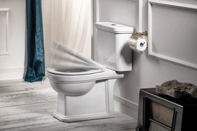 GSI GSI, CLASSIC WC sedátko, Soft Close, biela/chróm, MSC87CN11