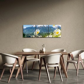 Obraz - Jar v Alpách (s hodinami) (90x30 cm)