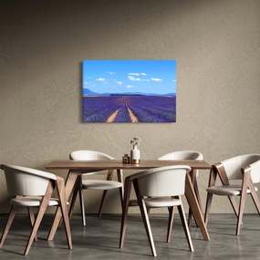Obraz - Levanduľové pole (90x60 cm)