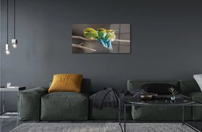 Sklenený obraz Vtáky na vetve 120x60 cm