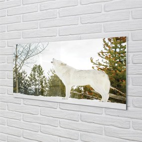 Obraz na akrylátovom skle Vlk v zime lese 125x50 cm