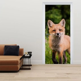 Fototapeta na dvere - Líška (95x205cm)