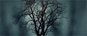 Obraz stromov pri zatmení (120x50 cm)