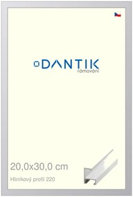 DANTIK rám na obraz 20x30 | ALU Bílá matná (Sklo Čiré)