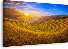 Obraz - Ryžové terasy vo Vietname (90x60 cm)