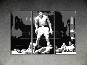 Ručne maľovaný POP Art obraz Muhamad Ali | rôzne rozmery