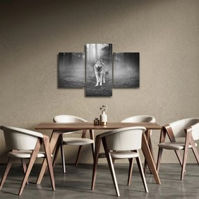 Obraz - Strážca lesa, čiernobiely (90x60 cm)