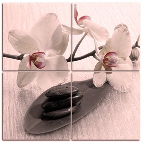 Obraz na plátne - Kvety orchidei - štvorec 362FD (100x100 cm)