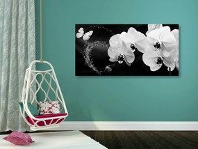 Obraz čiernobiela orchidea a motýľ Varianta: 100x50