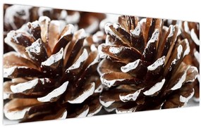 Obraz - Šišky (120x50 cm)