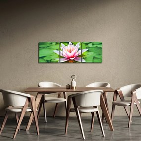 Obraz lekna na hladine (s hodinami) (90x30 cm)