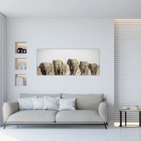 Obraz - Slonie stádo (120x50 cm)