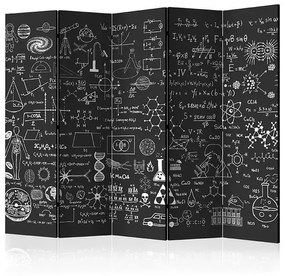 Paraván - Science on Chalkboard II [Room Dividers]