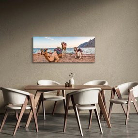 Obraz tiav (120x50 cm)