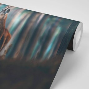 Samolepiaca fototapeta jeleň v borovicovom lese
